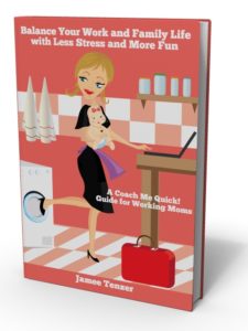 Balance Your Work and Family Life with Less Stress and More Fun Book